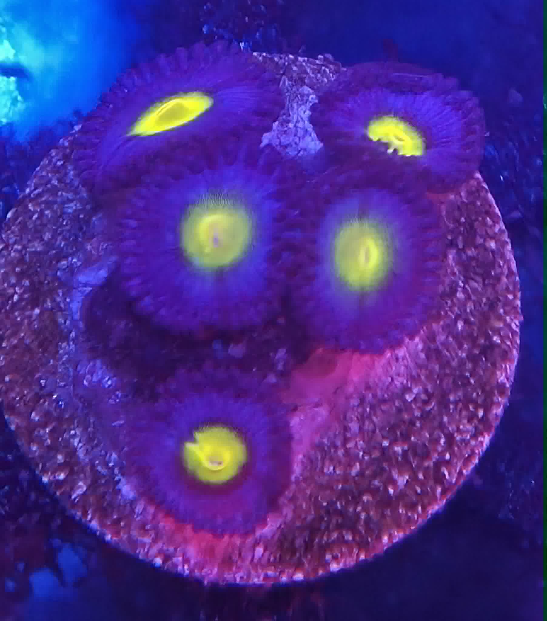 Frag #07